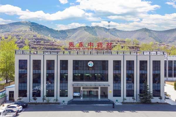 首页| J9集团国际站官方网站