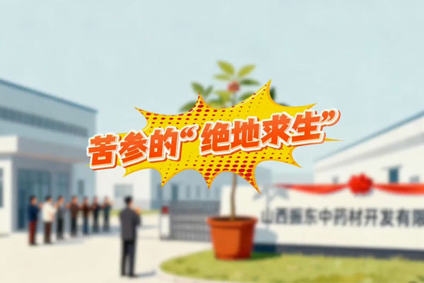 首页| J9集团国际站官方网站